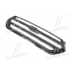 Решетка радиатора внешняя FORD KUGA / ESCAPE 16- (TEMPEST) 