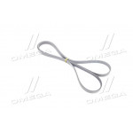 Ремінь поліклиновий (Вир-во Contitech) 