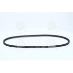 Ремінь клиновий (вир-во DAYCO) 