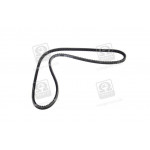 Ремінь клиновий (вир-во DAYCO) 