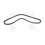 Ремінь клиновий (вир-во DAYCO) 