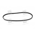 Ремінь клиновий (вир-во DAYCO) 