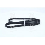 Ремінь клиновий (вир-во DAYCO) 