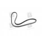 Ремінь клиновий (вир-во DAYCO) 