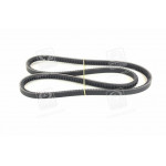 Ремень клиновой (пр-во DAYCO) 