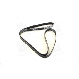 Ремінь поліклін. (вир-во DAYCO)