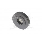 Шків ременя генератора (Ви-во NTN-SNR) 