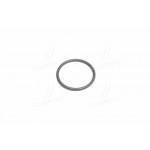 Манжета ГТЦ ГАЗель, Волга задня (вир-во БРТ, Росія) 