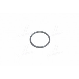 Манжета ГТЦ ГАЗель, Волга задня (вир-во БРТ, Росія)