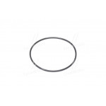 Кільце ущ. (Покупн. КамАЗ) 