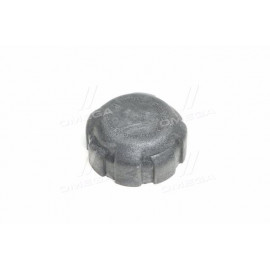 Кришка бачка розширювального ВАЗ 2110-2115 (вир-во SAN-D)