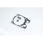 Р/к двигуна  КамАЗ (ЄВРО) (6 шт.) (20161) 