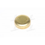 Заглушка головки блоку циліндрів КрАЗ, МАЗ (вир-во ЯМЗ) 