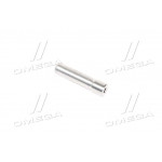 Форсунка в сб. (вир-во АвтоВАЗ ) 