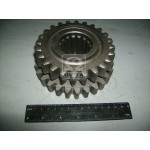 Шестерня 4-5-пер. МТЗ Z = 27/24 (вир-во м.Рівне) 