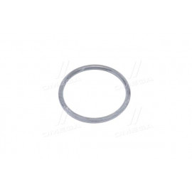 Манжета задня ГТЦ для Газель, Волга (купл. ГАЗ)