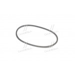 Ремінь 8,5 х8х833 генератора Г-53А, 3307, 31110 (вир-во ЯРТ) 