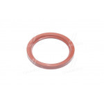 Манжета 160 з пруж. валу колін. в зб. (червона) (вир-во Росія, КАМРТИ) 