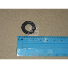 Ущільнююче кільце, нарізна пробка (вир-во Elring)