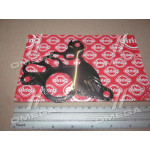 Прокладка тамденного насоса VAG 2.0TDI BKD/BKP/BMN/BUY (вир-во Elring) 