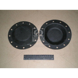 Діафрагма гальмівний передній без МТП (вир-во Росія)