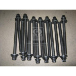 Комплект болтiв головки цилiдра (вир-во Elring) 