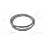 Ремінь В (Б) -2500 (вир-во ЯРТ) 