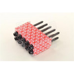 Болт головки блока (компл.) VAG BAG/BLF/BLP (пр-во Elring) 