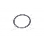 Кільце ущ. шкворня (вир-во Росія) 