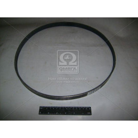 Ремінь ГРМ  16 кл (вир-во БРТ)