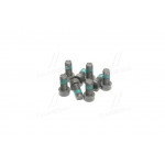 Болти маховика AUDI, SKODA, VW 00-  (вир-во LUK) 