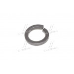 Шайба пружинна 33,5 (гровер) (вир-во АвтоКрАЗ) 