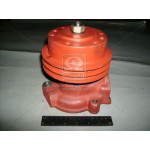 Насос водяний Д-245 ЗИЛ, ГАЗ, ПАЗ (вир-во БЗА) 