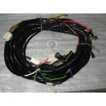 Пучок пров. задн. прав. (пр-во Россия) 