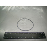 Кільце ущільнювальне підшипників. півосі (вир-во БРТ) 