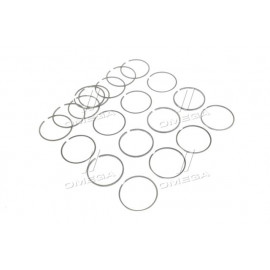 Кільце порш. м/к (вир-во СТАПРИ) Д-160 (d=145)