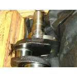 Вал колінчастий Д 260 (вир-во ММЗ) 