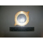 Шайба опорна (вир-во МТЗ) 