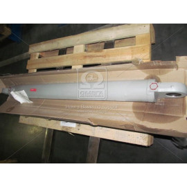 Гідроциліндр підйому стріли (13.6150.000) Борекс, ЕО-2621 (вир-во Гідросила)