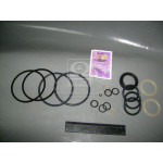 Р/к гідроциліндра ЦС-100 (нов. зр.) (Руслан-Комплект) 