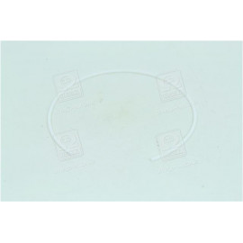 Кільце ущ. газового стику фторопласт. Д-240, 243, 245 (вир-во Росія)