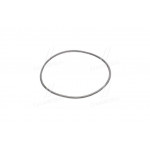 Кільце ущ. на вод насос (вир-во Росія) 