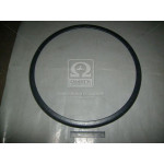 Кільце бортове (покупн. КамАЗ) 