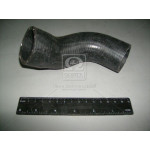 Шланг радіатора ГАЗ відвідний нижній (вир-во БРТ) 