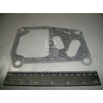 Прокладка корпусу фільтра відцентрового Д 240,243 (вир-во ММЗ) 