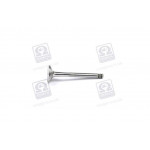 Клапан випуск VAG 1,9TDi/2,5TD 31.5x8x96.9 (вир-во SM) 