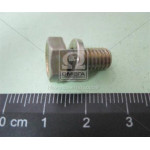 Болт М6х12 раб. гальм. циліндрів ВАЗ 2101-08 (з шайбою) (вир-во Белебей) 