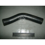 Шланг радіатора РАФ 2203 відвідний верхній (вир-во БРТ) 