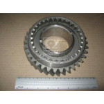 Шестерня 2-пер.втор.вала 238А Z = 34 (вир-во ЯМЗ) 