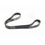 Ремінь  (вир-во DAYCO) 